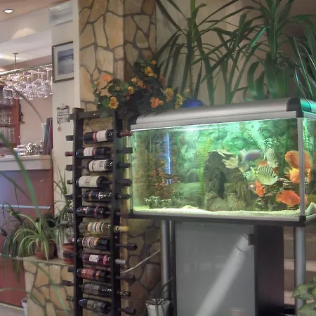 Къща за гости къща за гости боруна