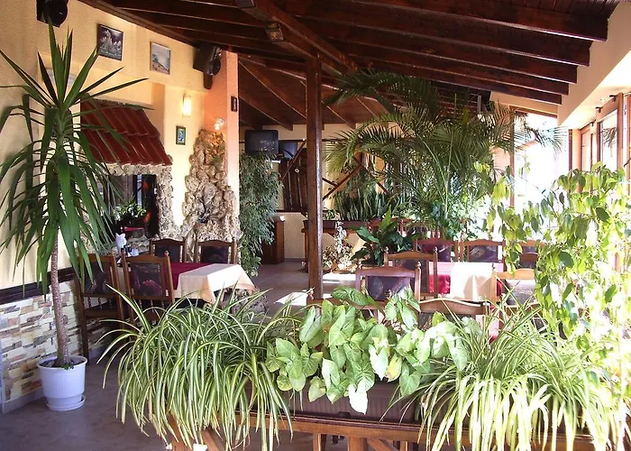 Boruna 3* סוזופול