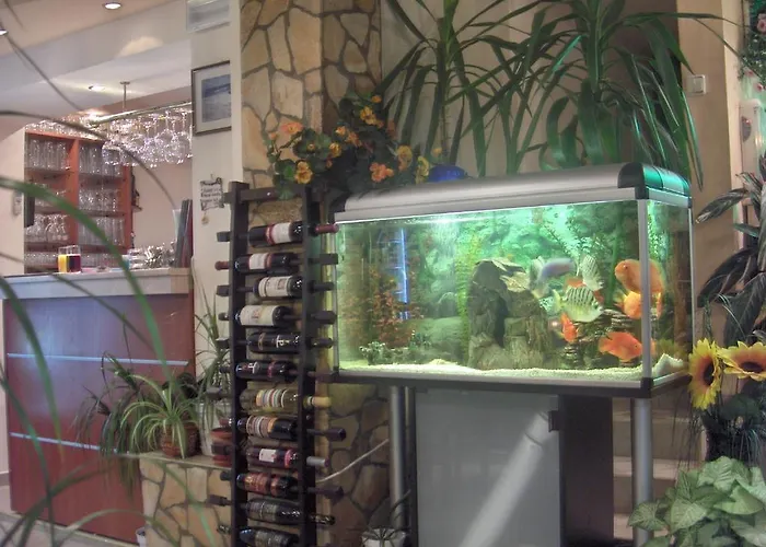 בית הארחה Boruna